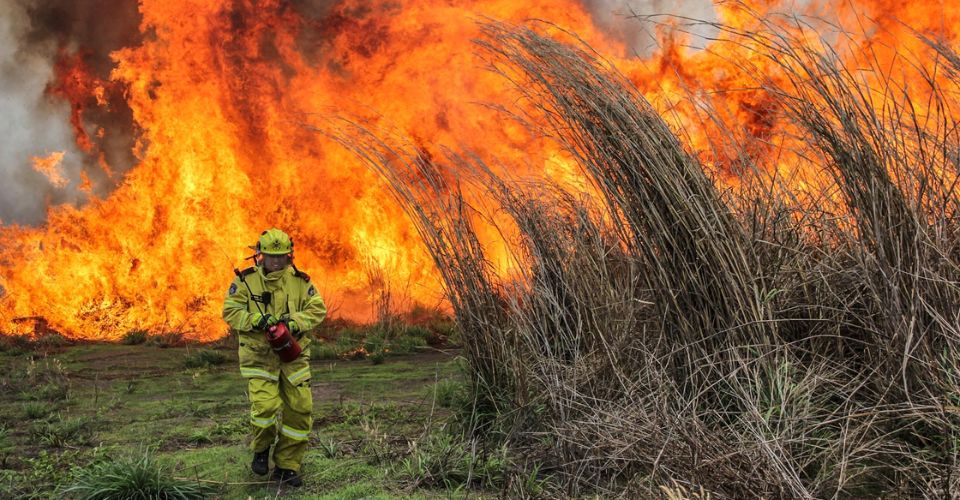 El Nino Transition to Affect the Fire Season in Northern California
