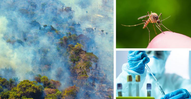 Exposure to Diseases to Rise As A Result of Climate Change