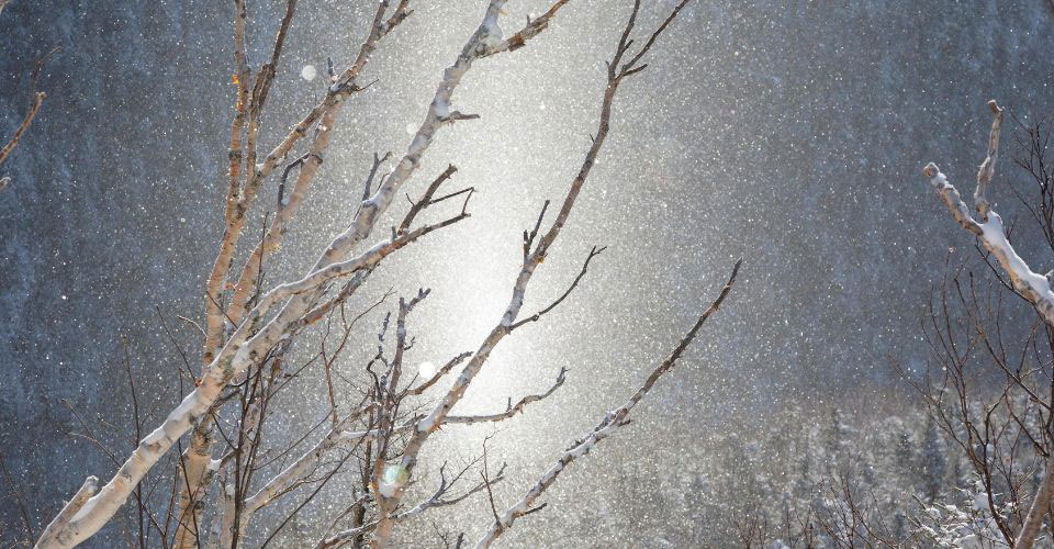 How Diamond Dust Can Make The Air Sparkle